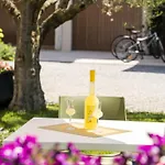 Apartment Palazzo Trevignane San Felice del Benaco
